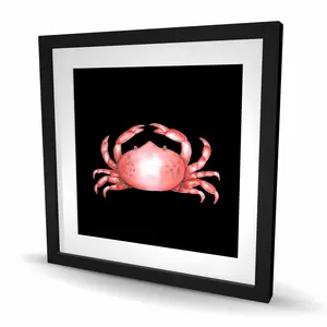 212 MAIN 24x24 in. Vibrant Crab Marine Life Framed Matted Wall Art - Crab Motif Prints, Decorative Frame Prints, Artistic Nature-Infused Home Decor, Ideal Gift for Home Supplies