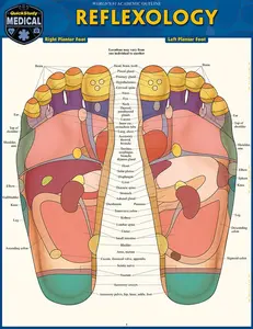 Reflexology: a QuickStudy Laminated Reference Guide