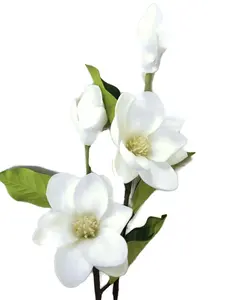 Floral Kingdom 25" Real Touch Artificial Magnolia Flowers for Foral Arrangements, Gift Wrapping, Bouquets, Home/Office Decor (Pack of 2)