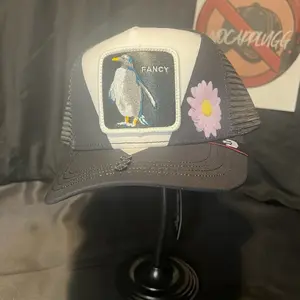 Fancy Penguin & Daisy Black Trucker Cap with Embroidered Design and "FANCY" Text