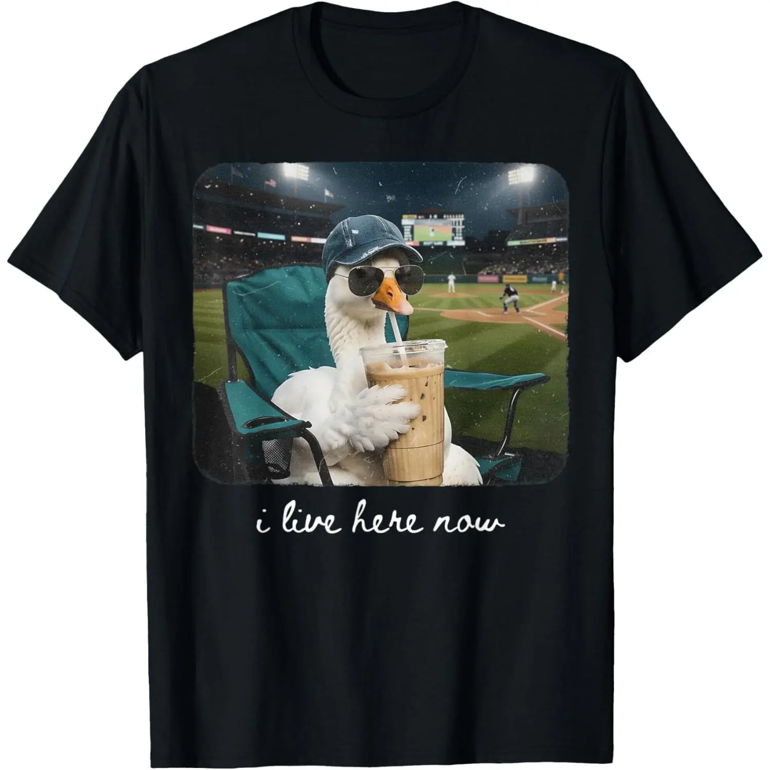 Women's 100% Cotton Short-Sleeve Round Neck Casual Streetwear Top, Funny Goose Ballfield Print T-Shirt