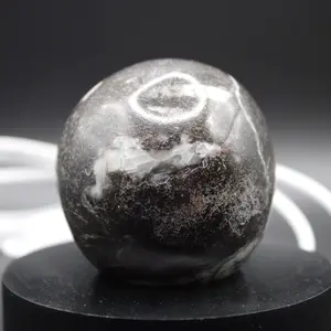Fossil Sphere Orthoceras (40-60mm) with Black Round Wood Color Changing Base (2.5inch)