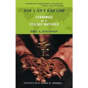USED-You Can't Eat GNP: Economics as If Ecology Mattered by Davidson, Eric (Paperback)