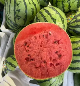 Mini Watermelon Seeds — Easy to Grow, High-Yielding, Sweet Fruit; Suitable for Indoor and Outdoor Planting; Ideal for Beginners and Low-Effort Gardening