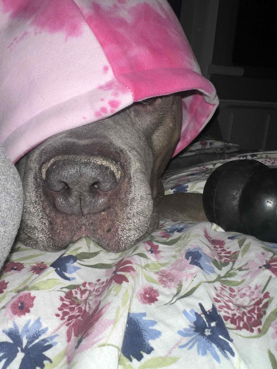 Item: Strawberry Swirl, 7X