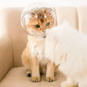 Multi-Size Adjustable & Breathable Clear Cat Hood