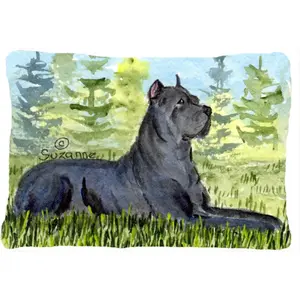 212 MAIN Cane Corso Decorative Polyester Pillow - 12x16 in, Durable Cushions, Mildew-Proof Home Decorative Cushion for Indoor/Outdoor Use