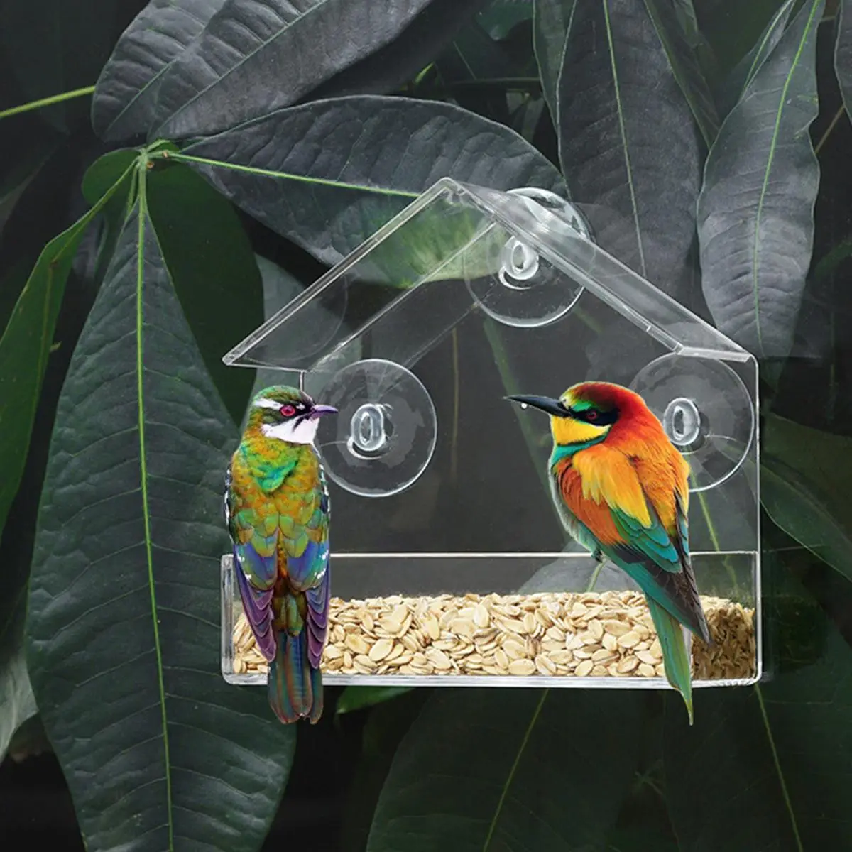 Clear Acrylic Window Bird Feeder, Outdoor Bird House Feeder, Enhanced Suction Grip, Easy To Clean, Outdoor Bird House Feeder