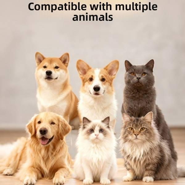 Pet Holographic Projection Digital House Acrylic Memorial Box for Cat & Dog 3D Projector Eternal Display Case with Green Grass and Tree