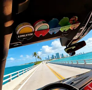 Universal Clip - On Car Visor Dip Can Holder, Compact Durable Organizer,Essential Accessory for Zyn Pouches,Gift for Boyfriends or Husbands, Also Great for Free Storage | Perfect for Cars, Trucks, SUVs (FS)