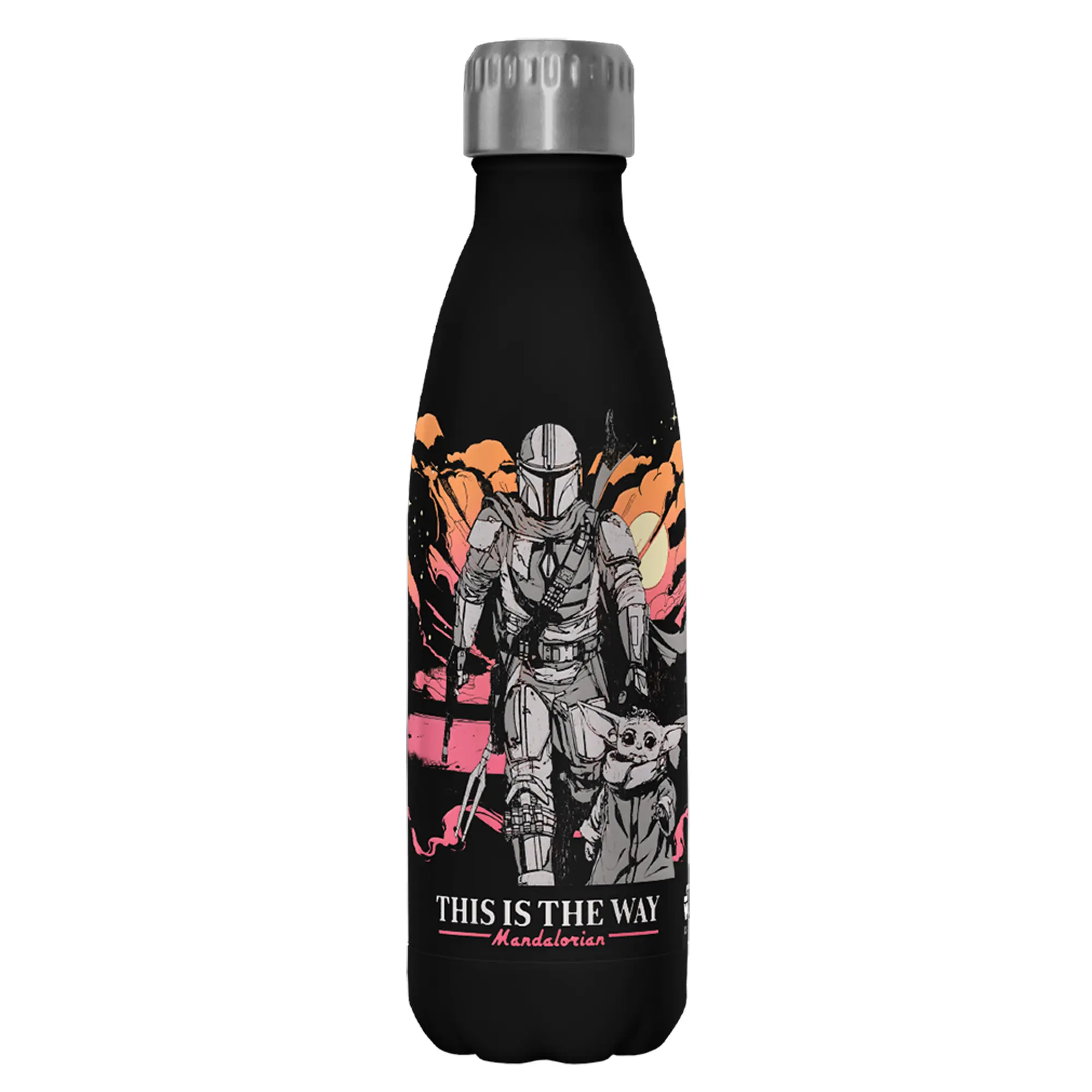 Star Wars The Mandalorian Hero's of the Galaxy Stainless Steel Water Bottle