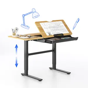 FLEXISPOT Electric Height Adjustable Drafting Table 48"x24", Tilting Art Desk with Storage Drawer, Foldable Side Table, Ideal for Artists, Students, Home Office, Studio, Kids & Adults