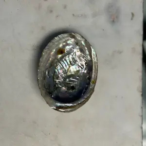 Abalone Shell Smudge Bowel (Medium)