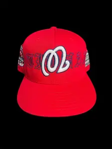 Washington Nationals Hat