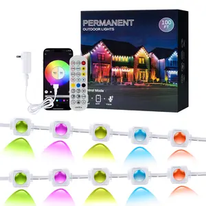 LED Smart Outdoor Permanent Eaves Lights APP control, Waterproof Smart LED Light Remote, RGB String Lights for Christmas Holiday DIY House, Roof, Garden Decor Lighting