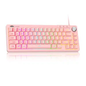 TS68 65% Layout Wired Keyboard with RGB Lighting Ergonomic Knob Design 68 Keys Portable Compact OEM Profile Anti-Ghosting