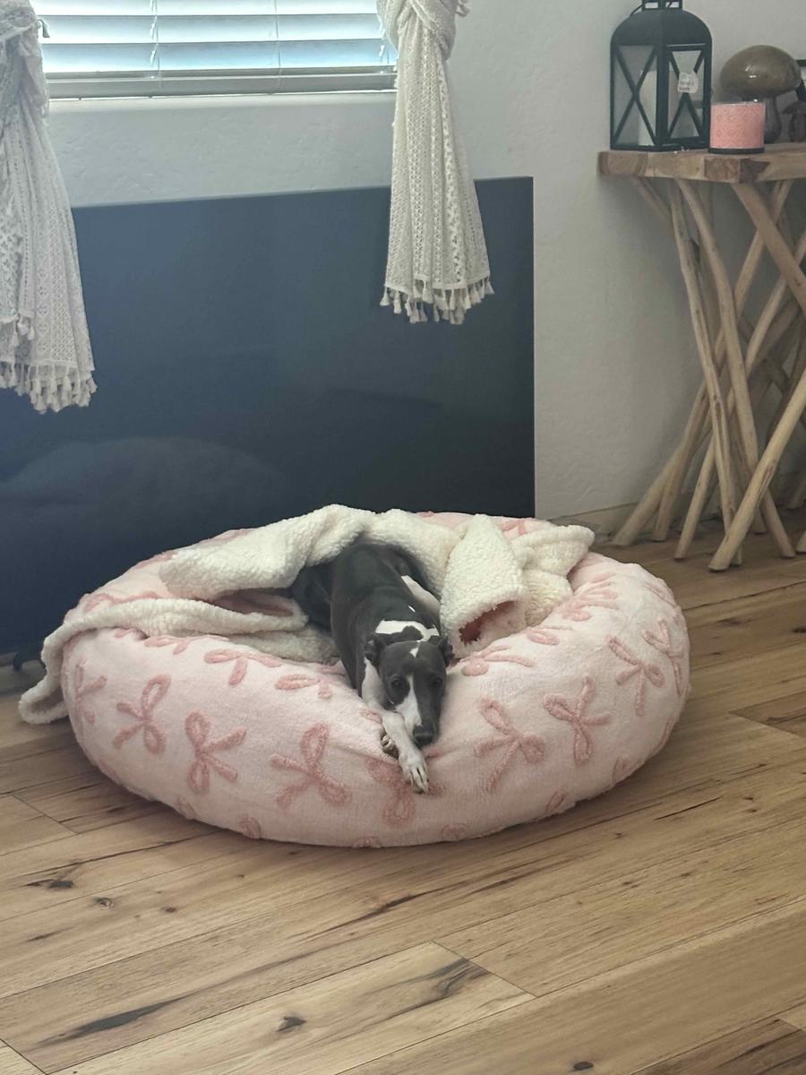 Item: Pink Taffy, L (36x36x10)