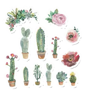 Cacti
