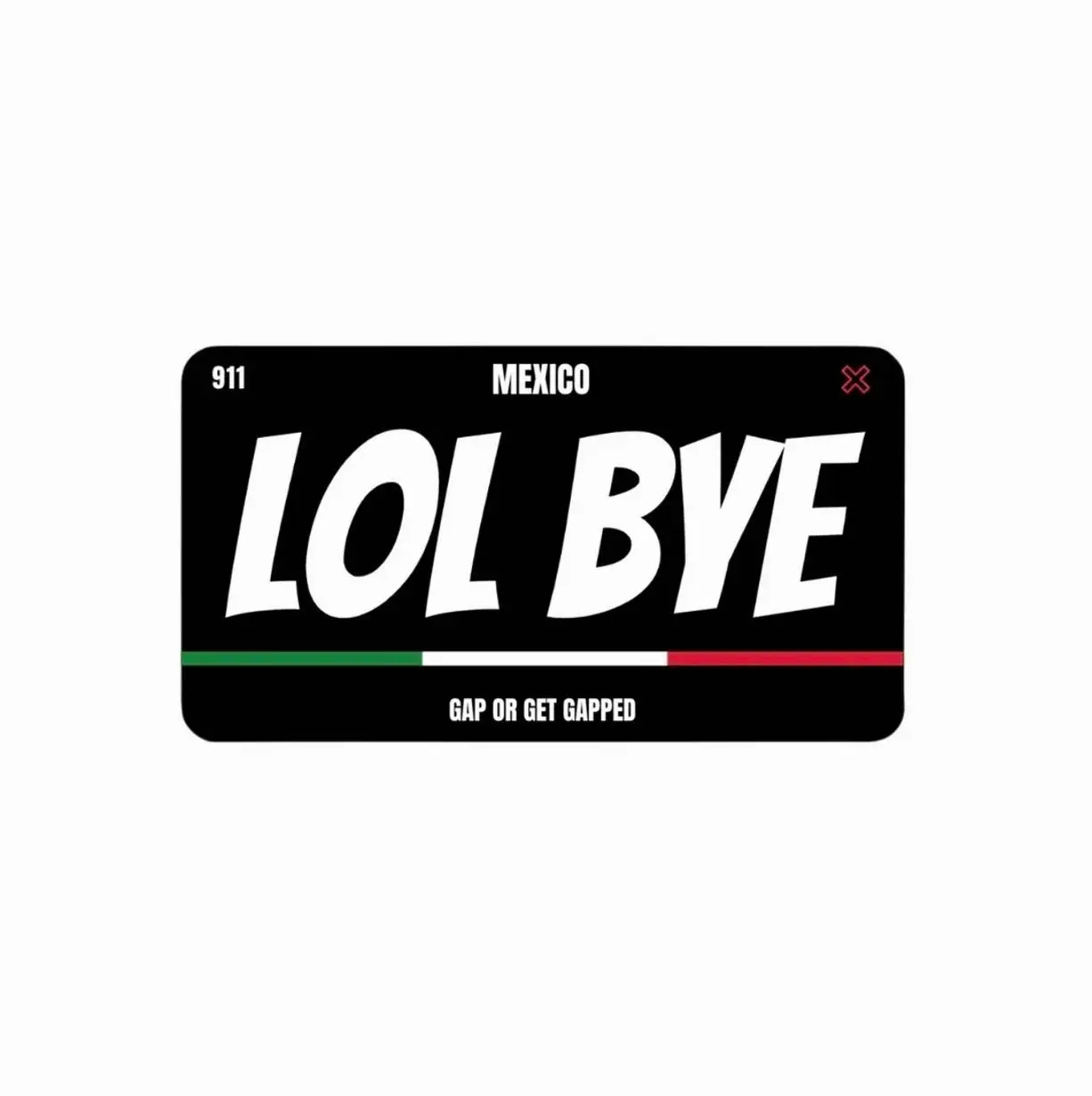 LOL BYE Magnetic License Plate Cover LOL BYE Magnetic License Plate Cover