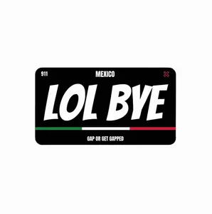 LOL BYE Magnetic License Plate Cover LOL BYE Magnetic License Plate Cover