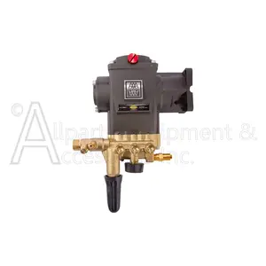 930017 Simpson Aaa Pump Horizontal 3/4 Hollow Shaft Triplex Pump 3400 Psi