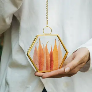 NCYP Mini Glass Gold/ Rose Gold/ Black Floating Frame with Chain, 1.9 Inches Side Length, Home Wall Hanging Decor, Hexagon Shape, Silicone Transparent, Hangable for Artwork & Plants (Frame Only)