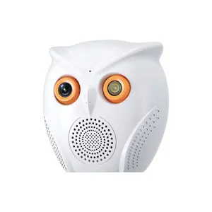 Owl Security Camera Wi-Fi with Night Vision Two-Way Audio HD Video Motion Detection USB Power SD Cards Cloud Storage Flexible Recording Monitor Monitoring Surveillance