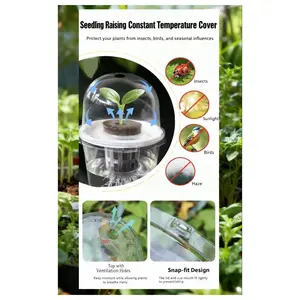 Visible Transparent Plant Sprouting Cup, Plastic Seedling Growth Box for Indoor Garden, Hydroponic Seed Growing Tray