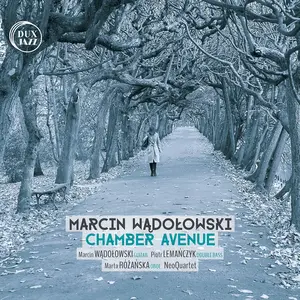 Wadolowski Lemanczyk Rozanska Neoquartet - Chamber Avenue  [COMPACT DISC - CD]