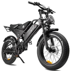 DK401 Electric Bicycle - 1200W Peak Power, 48V18.2Ah Battery, Maximum Speed 35 mph, Maximum Range 60 miles, Full Suspension, Hydraulic Brakes, IPX65 Waterproof, Electric Motorcycle, High-Performance Electric Bicycle
