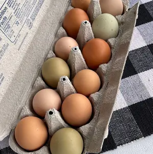 Free Range Eggs