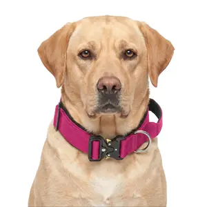 Pink Forest Green Blue Heavy Duty Polyester Dog Collar with Metal Buckle, Durable Padded Training Collar for Labrador Medium Large Dogs, Adjustable Pet Walking Gear