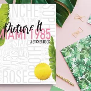 The Golden Girls-Picture It Miami 1985