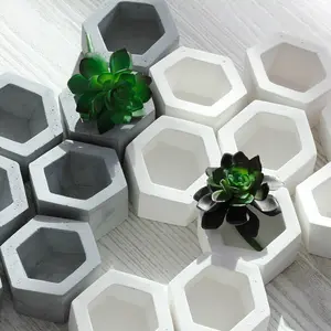 Hexagonal Cement Planter