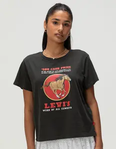 LEVI'S Premium Womens Graphic Boxy Tee
