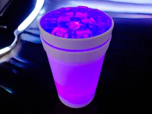 Double Cup Lean Stash Cup - Decor