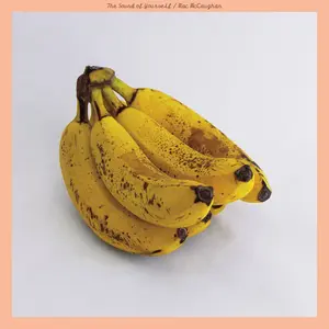 Mac McCaughan - The Sound of Yourself  [COMPACT DISC - CD]