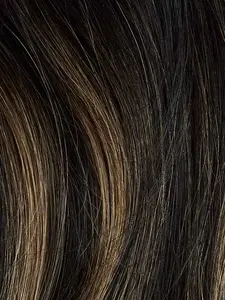 Sample Swatch Off Black Bronde Balayage Sample Swatch Off Black Bronde Balayage