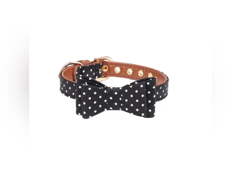 Black Bow Collar