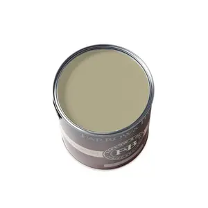 Farrow & Ball Ball Green Paint NO.75 🚚 Free Shipping!