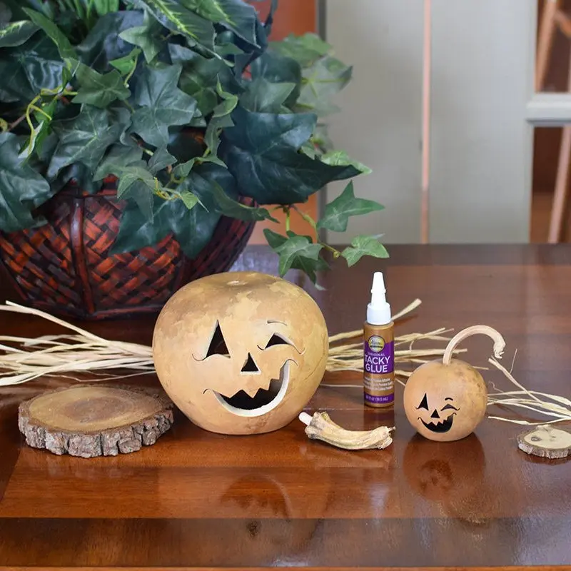 Gourd Craft Kit - Fredrick Jack-o-Lantern - DIY Craft Supply Kit