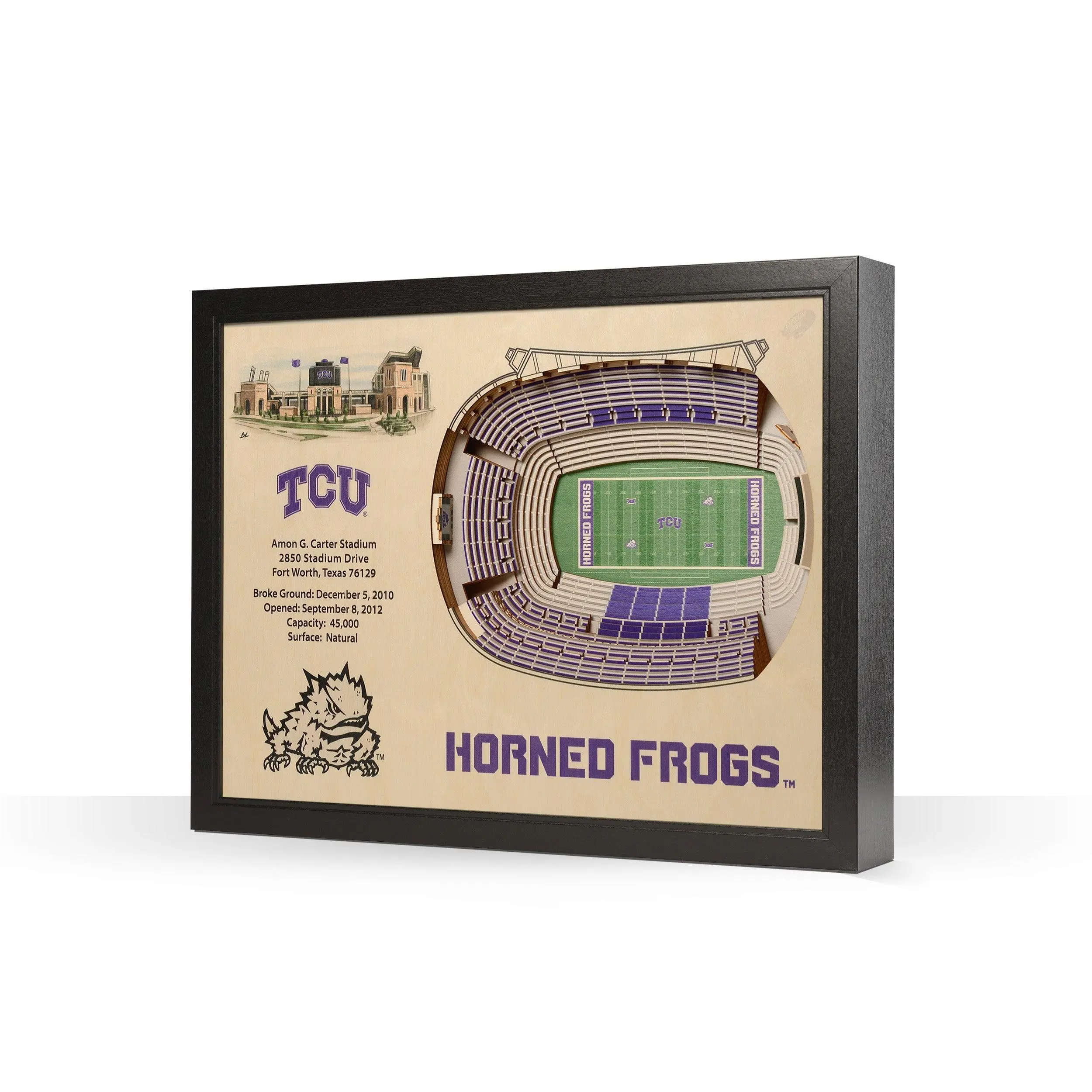 TCU Horned Frogs Amon G Carter Stardium 3D Stadiumview Wall Art