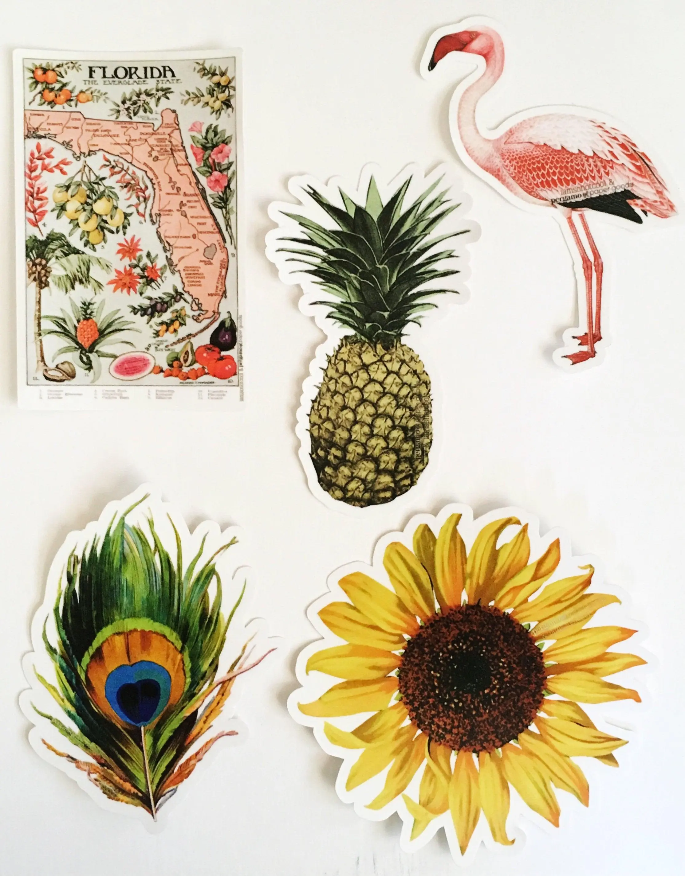 Vintage Sticker Pack 10 | Laptop Stickers | Camera Sticker | Pineapple Sticker | Sunflower Florida Flamingo Bee Pickle Peacock Butterfly