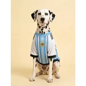 La Albiceleste Jersey