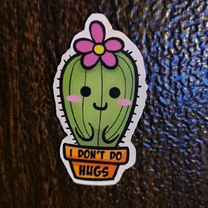 I DON'T DO HUGS Cactus Funny Humorous Dirty Adult Decorative Magnet