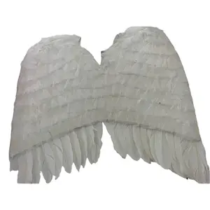 White Feather Wings