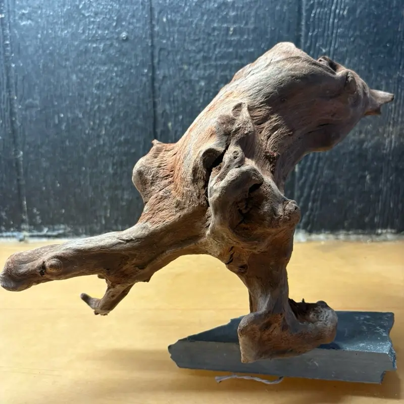 Malaysian Driftwood (12x7x10) Natural Driftwood for Aquairums