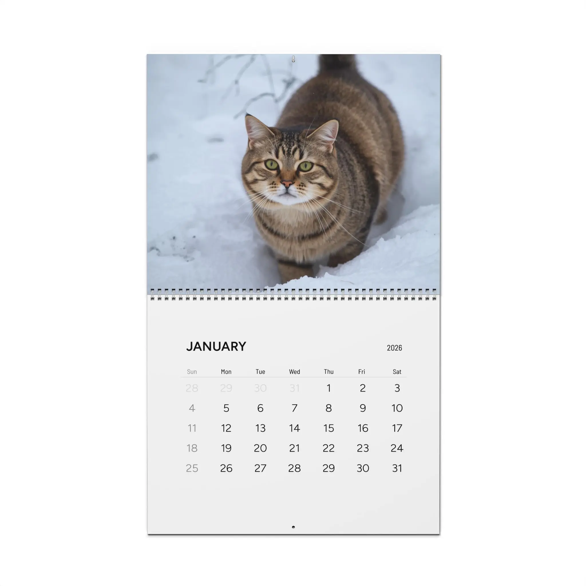 Cute Cats Wall Calendar 2026 | Kitten Photography Monthly Calendar