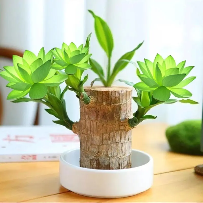 silk pothos plant Satin Pothos