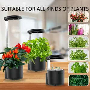 3 Pods Hydroponic Mini Growing System